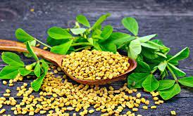 blood pressure Fenugreek Seeds